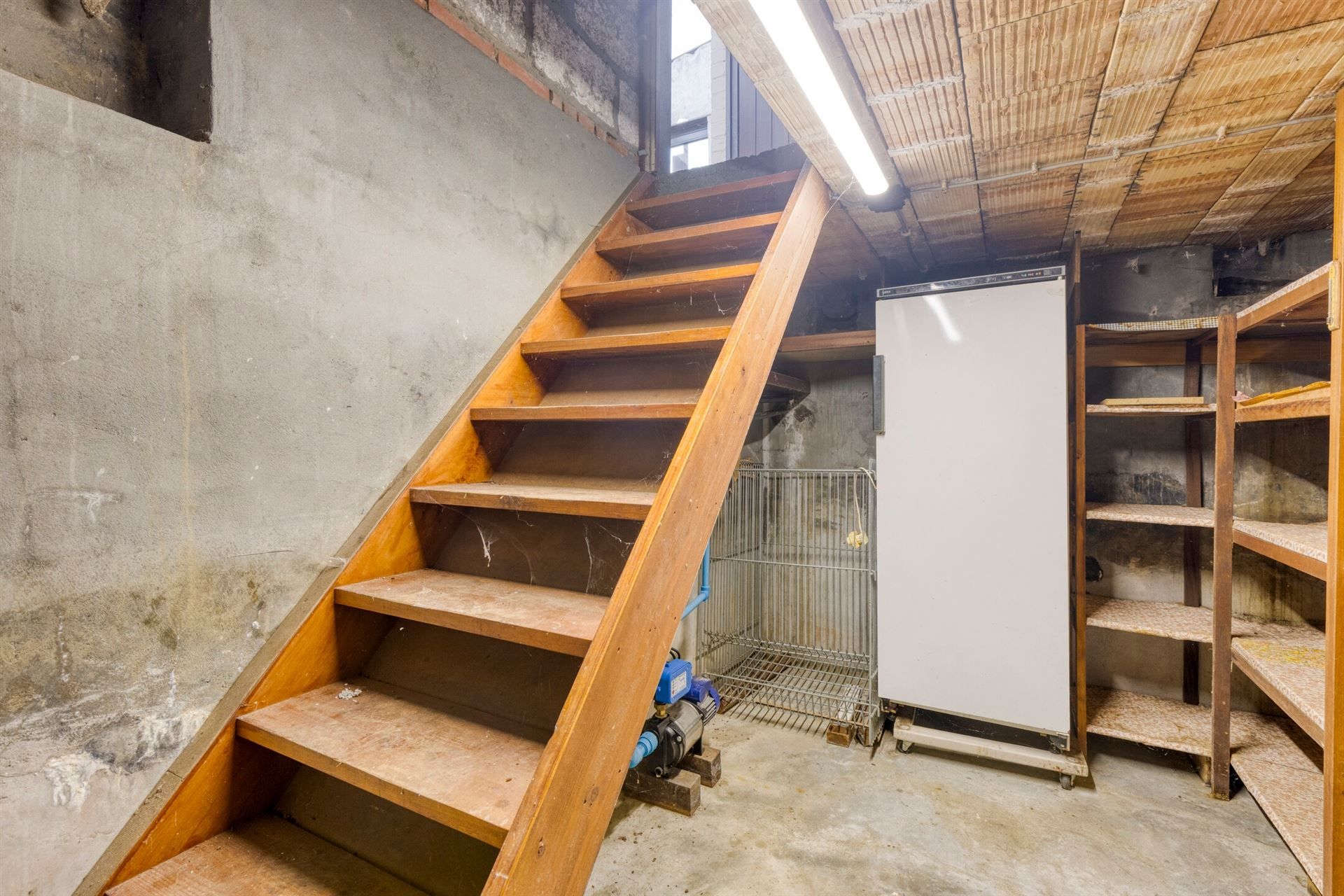 Stevige woning, met atelier en grote tuin. foto 17