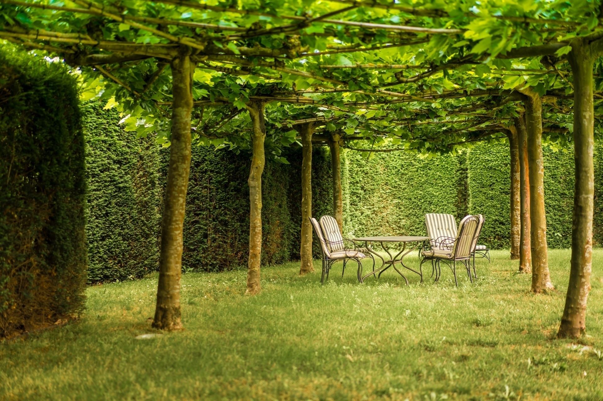 Uitzonderlijke villa met prachtig aangelegde tuin, zwembad & poolhouse, dakterras, in groene omgeving. foto 42