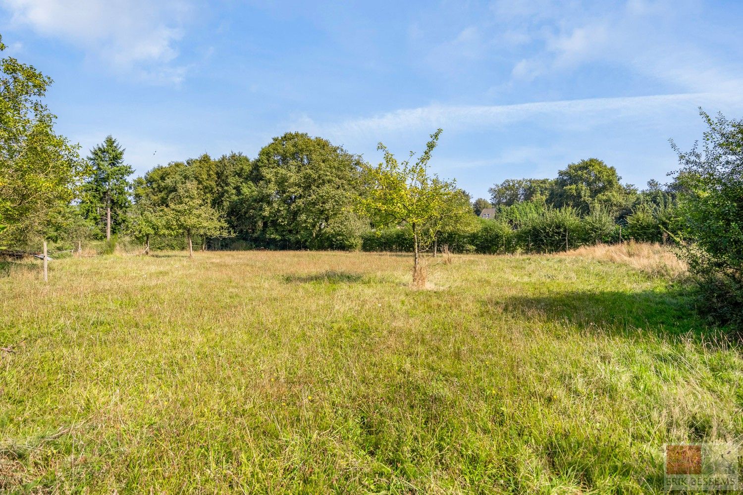 Bijzonder landhuis op bijzondere locatie grenzend aan Kattevennen en in de directe omgeving van Genk-Centrum foto 67