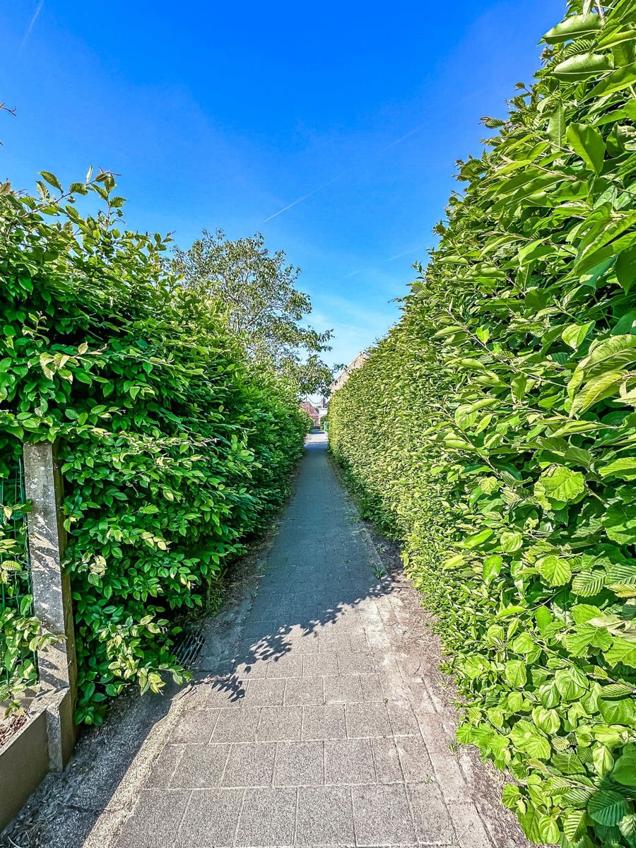 Charmante, verder te renoveren woning te centrum Malderen foto 7