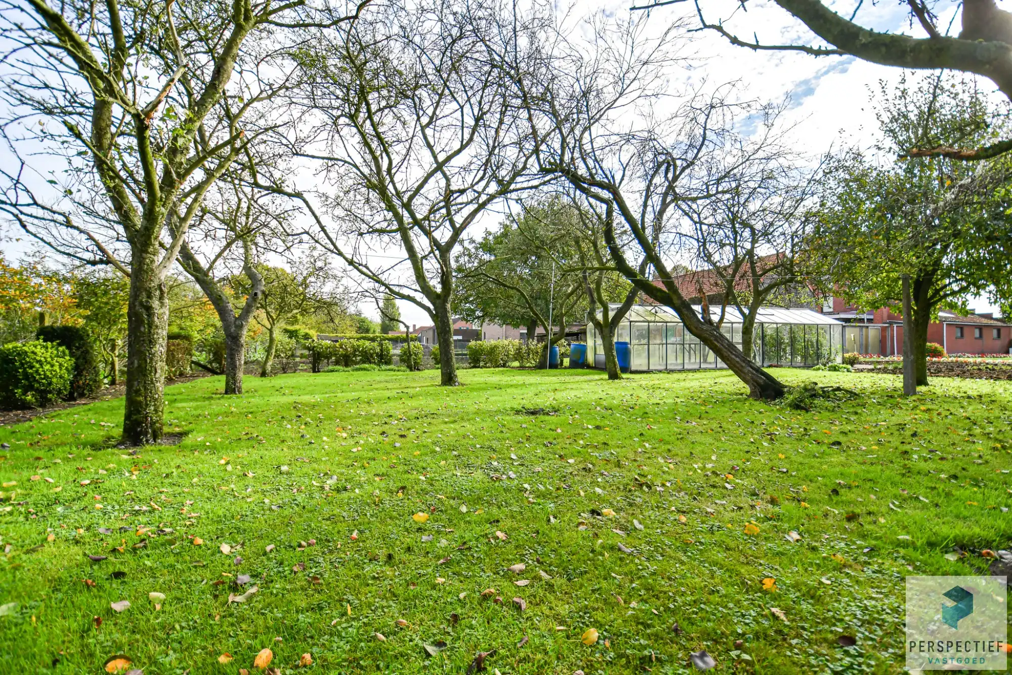 LANDELIJK GELEGEN WONING met SCHUUR  - BOOMGAARD - TUIN & MOESTUIN op 2138 m² foto 33