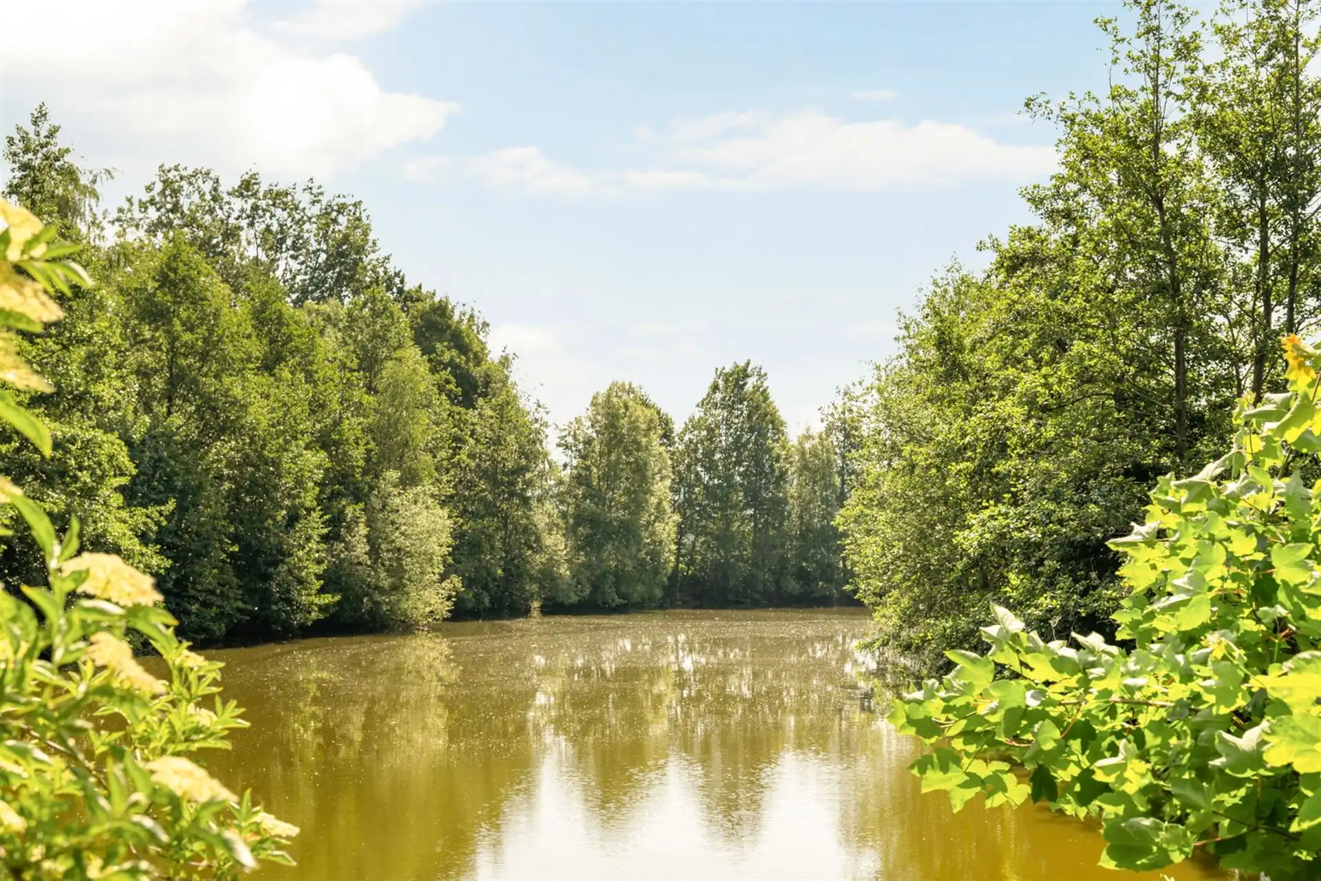 Exclusieve villa op unieke topligging aan een Scheldearm foto 3