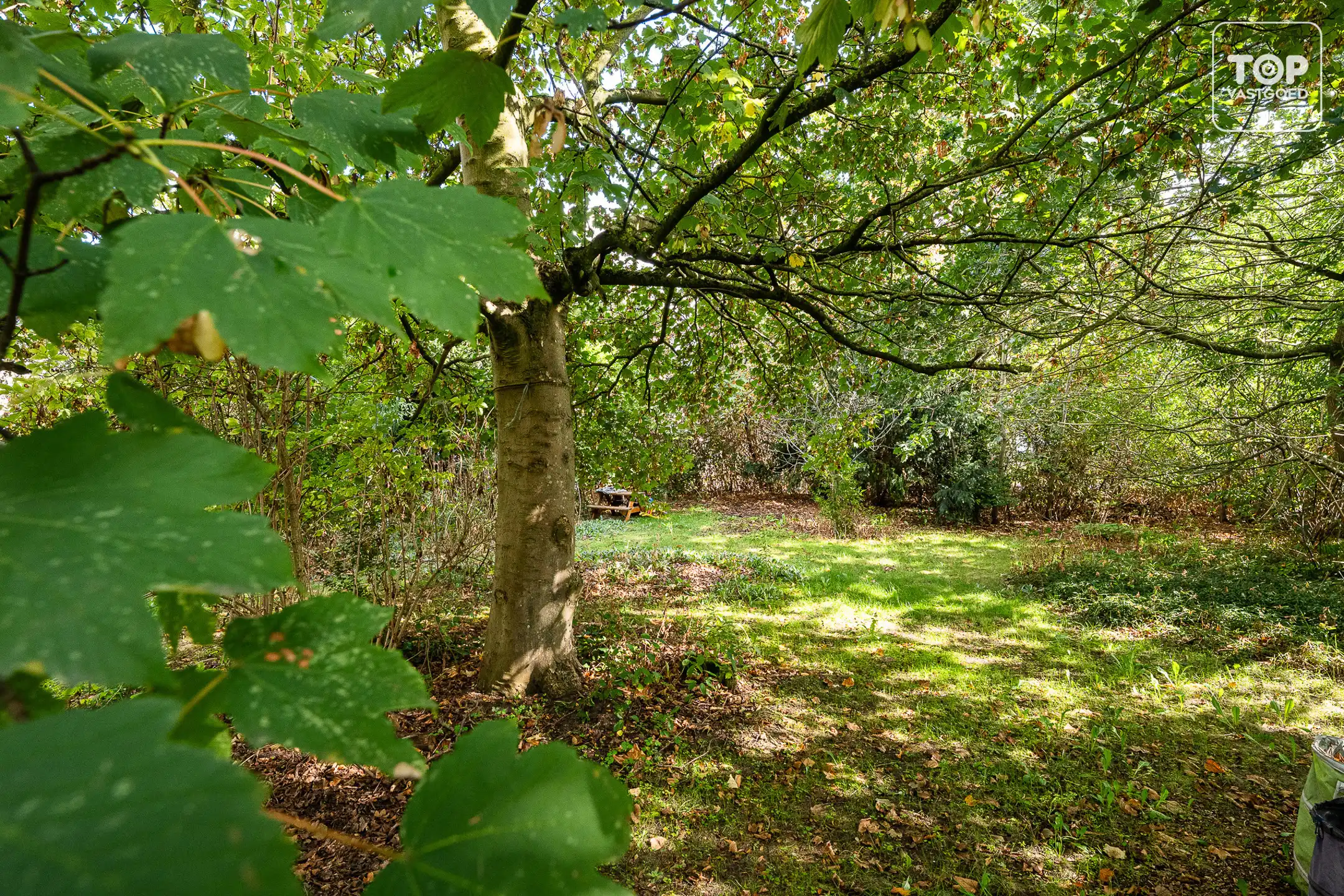 Karaktervolle hoevewoning met ruime groene tuin foto 20