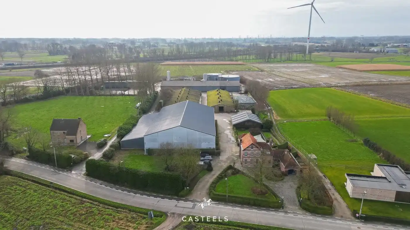 Bedrijfsvastgoed te koop Perstraat 127 - 9120 Beveren-Waas