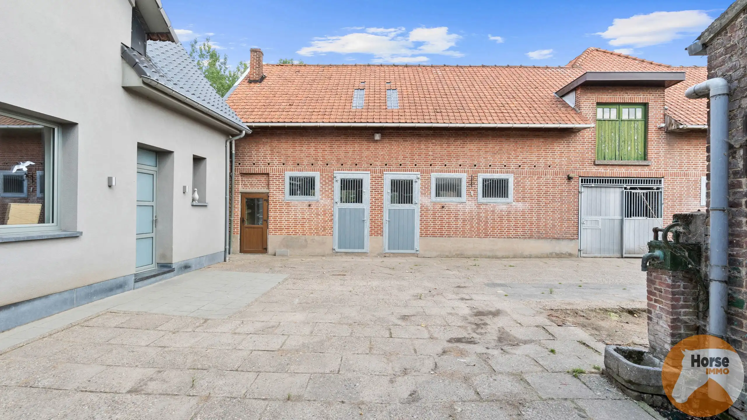 DILBEEK - Unieke paardeninfrastructuur op +-5,6ha foto 4