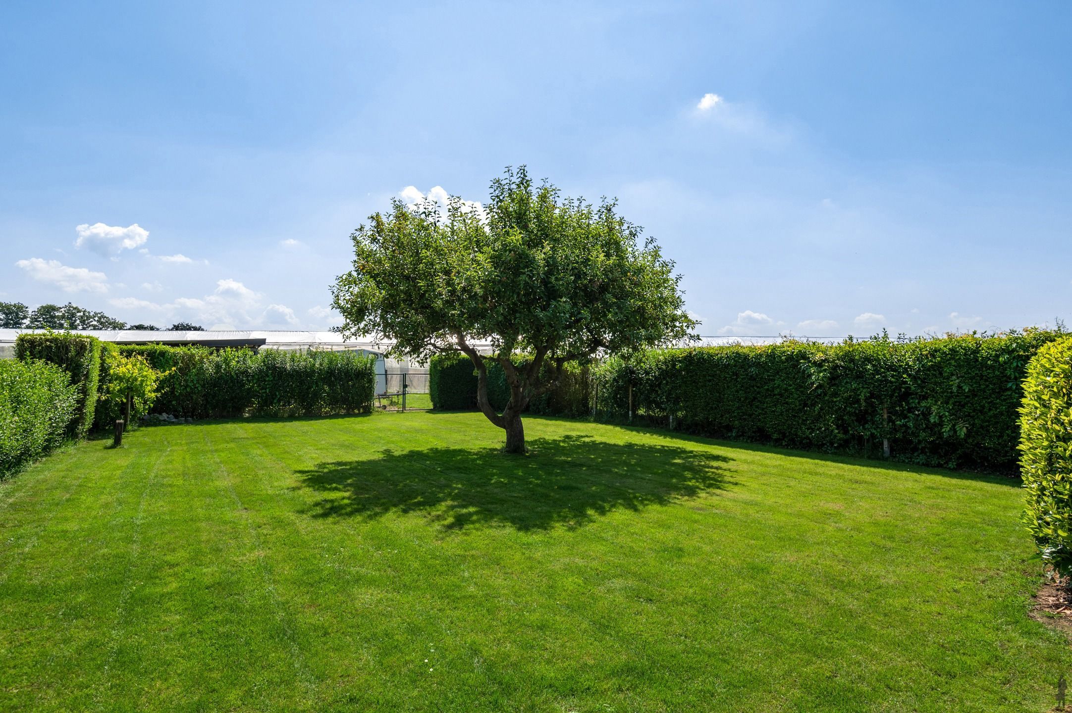 Prachtige villa op rustige locatie met achterliggend weiland. foto 10