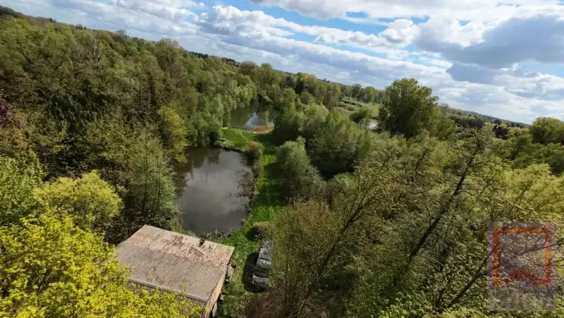 Hoofdfoto van de publicatie: Unieke chalet met vijvers op ±1,4 ha!