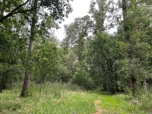 Bosgrond te koop gelegen De Potters te Herselt foto 8