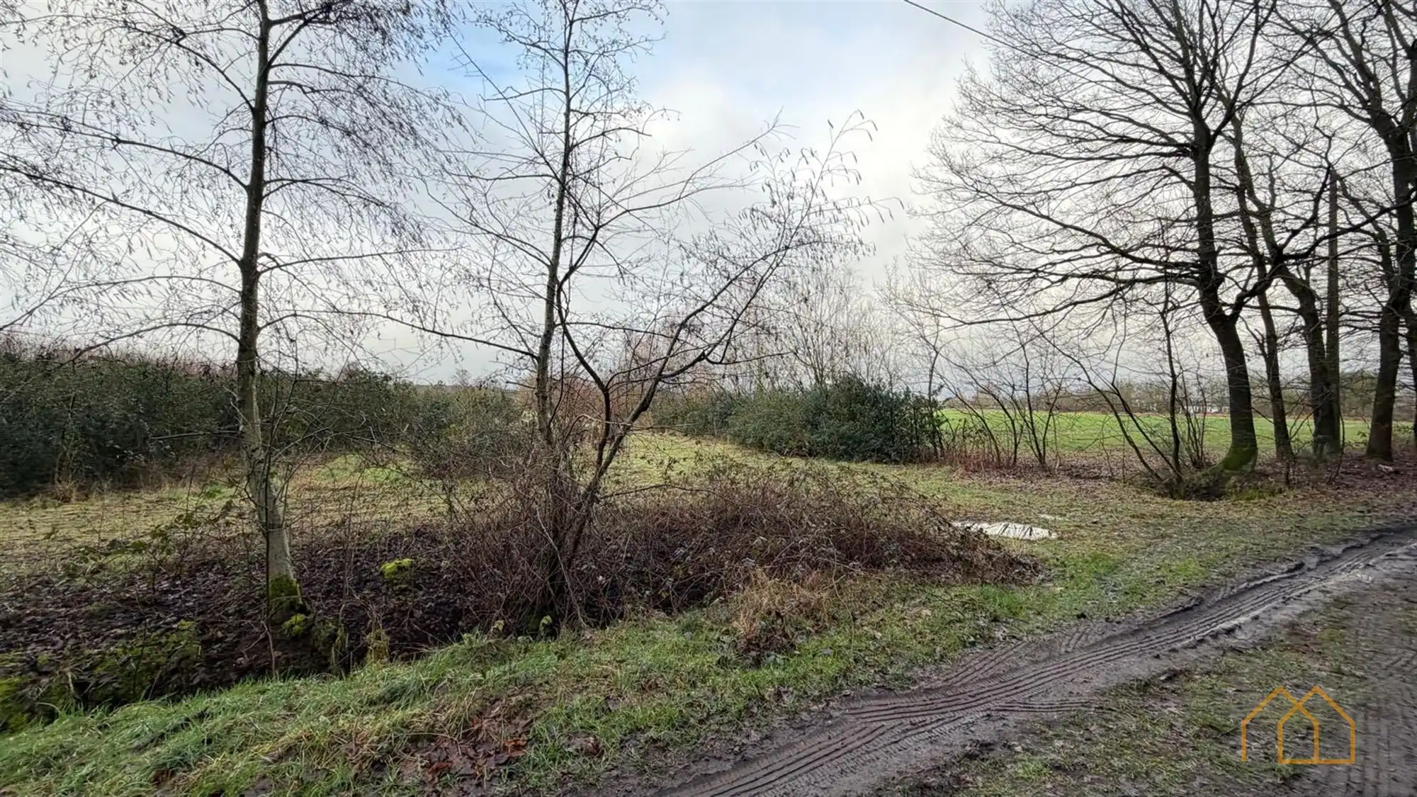 Landbouwgrond van 8600m² in Ten Aard foto 2