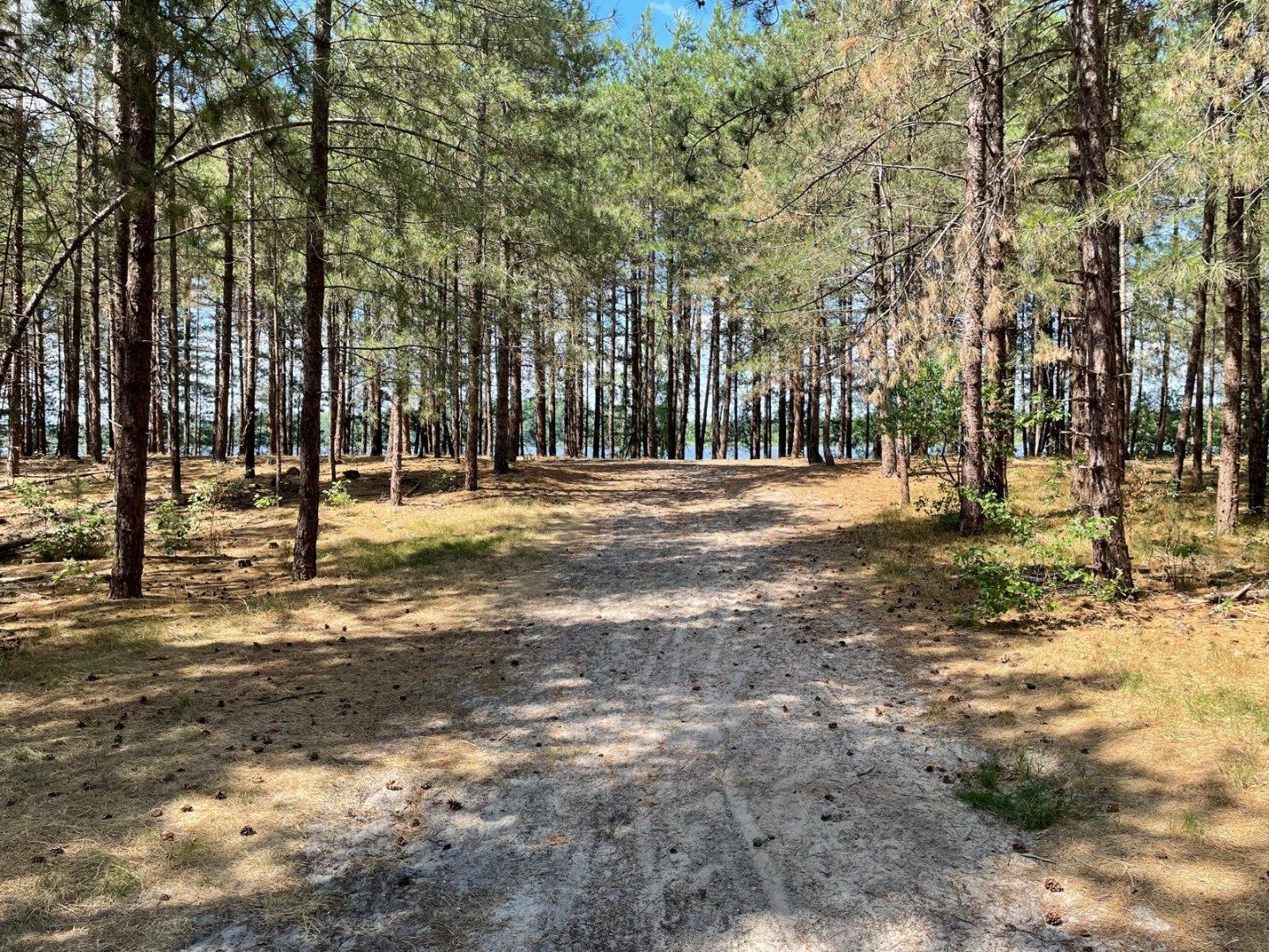 Twee halfopen bebouwingen samen te koop op perceel van 3000m² foto 9
