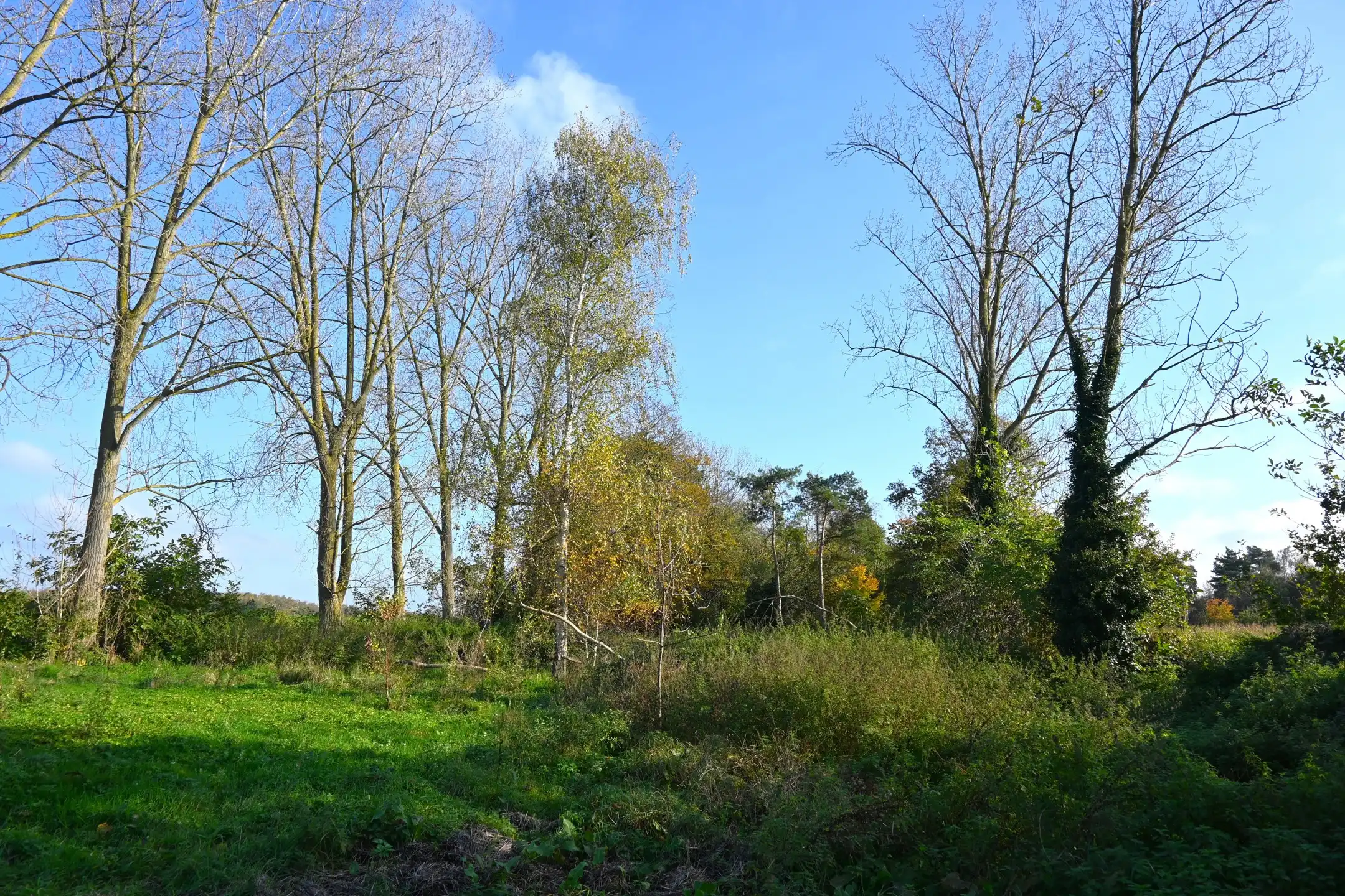 Villa te koop foto 16