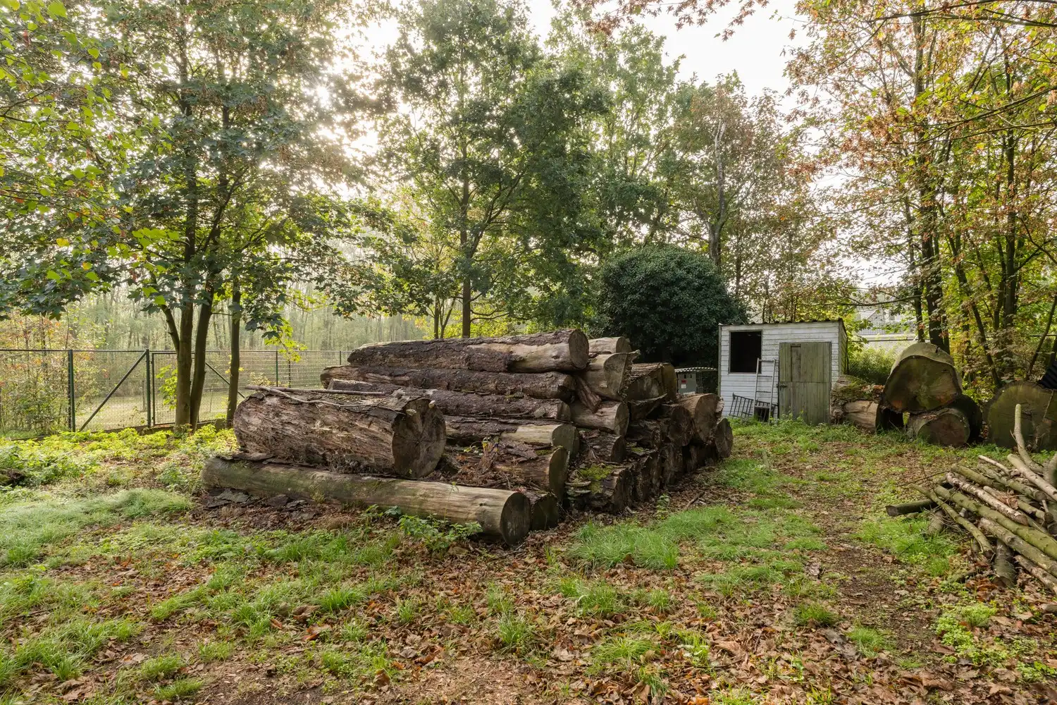 Veelzijdige woning met zorgmogelijkheden, werkruimte en tal van bijgebouwen foto 49
