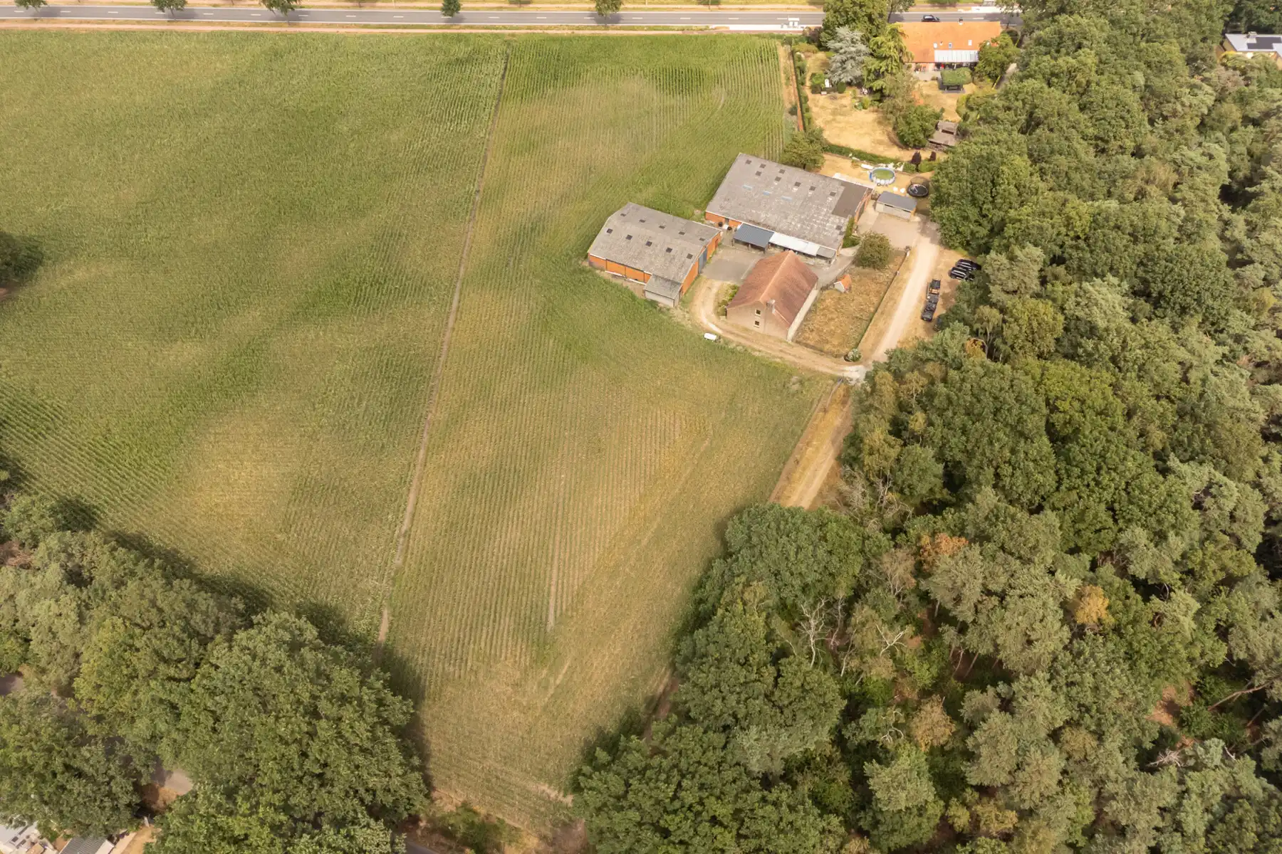 Bedrijfswoning met bijgebouwen en weiland op ca 1,3ha. foto 23