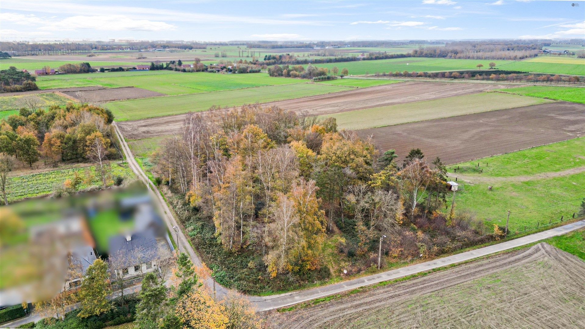 Bos op 5467m² grond foto 3