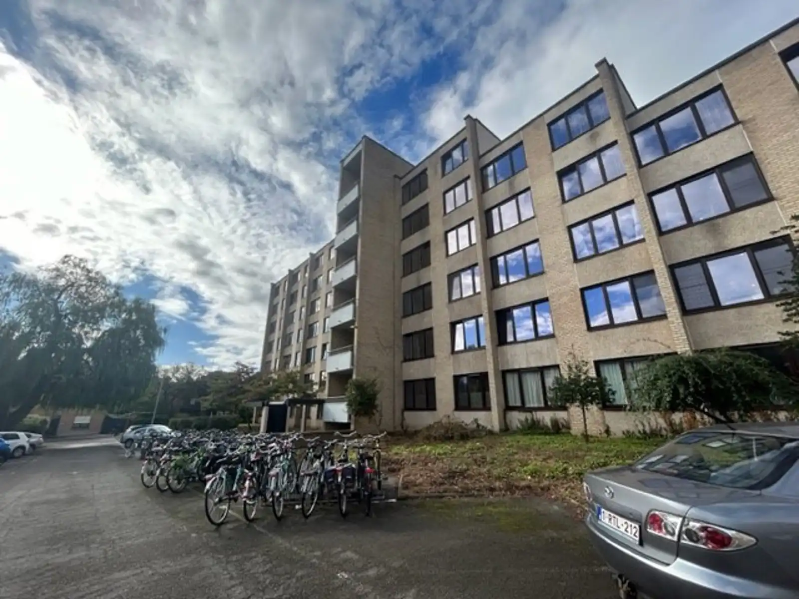 Eenvoudig maar revolutionair studeren foto 5