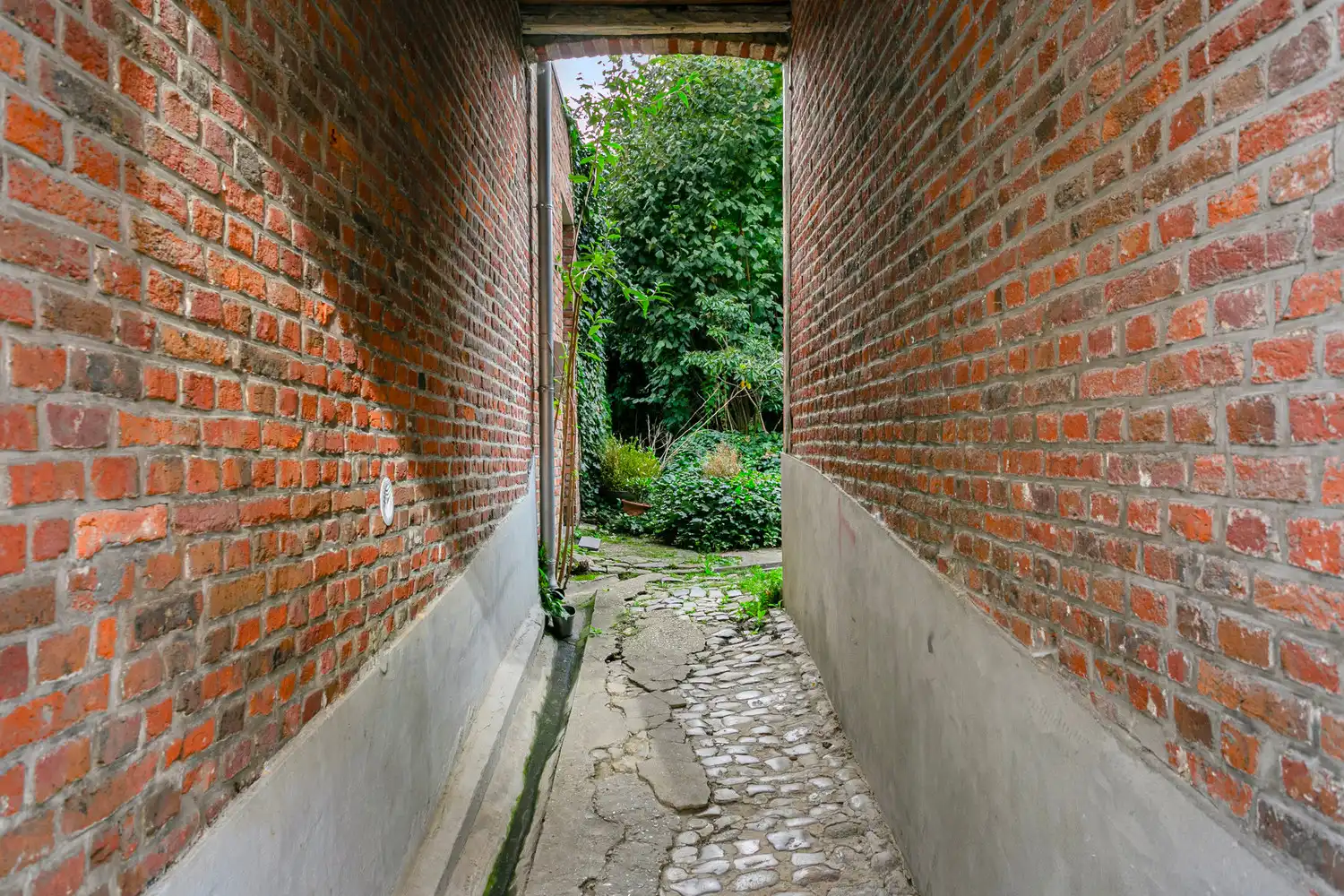 WONING MET ZEER GEZELLIGE TUIN TE LEUVEN! foto 3