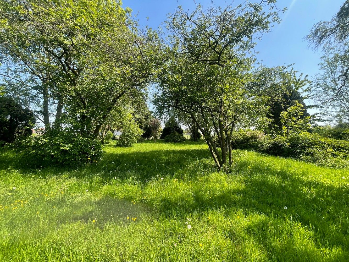 Aartrijke  Pittoreske ligging  Prachtig stuk BOUWGROND  met een oppervlakte van 1.900  m²  idyllische tuin ( ZUID-OOST) met grote diversiteit van bomen struiken en  Stilte gebied foto 7