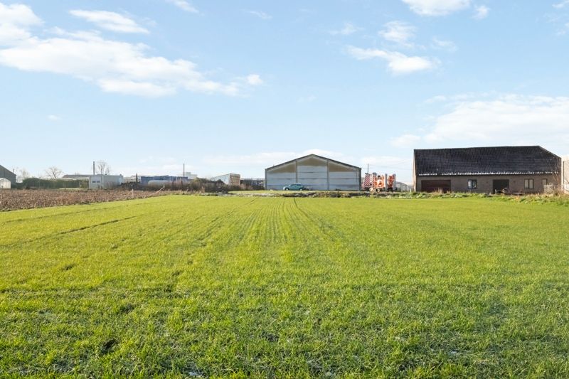 Staden. RUIME VILLA MET POTENTIEEL + loods van 435 m2 + loods van 515 m2 . Totaal perceel met tuinen en vijver = +/- 9000m2. Ideaal opbrengsteigendom en eigen gebruik. foto 2