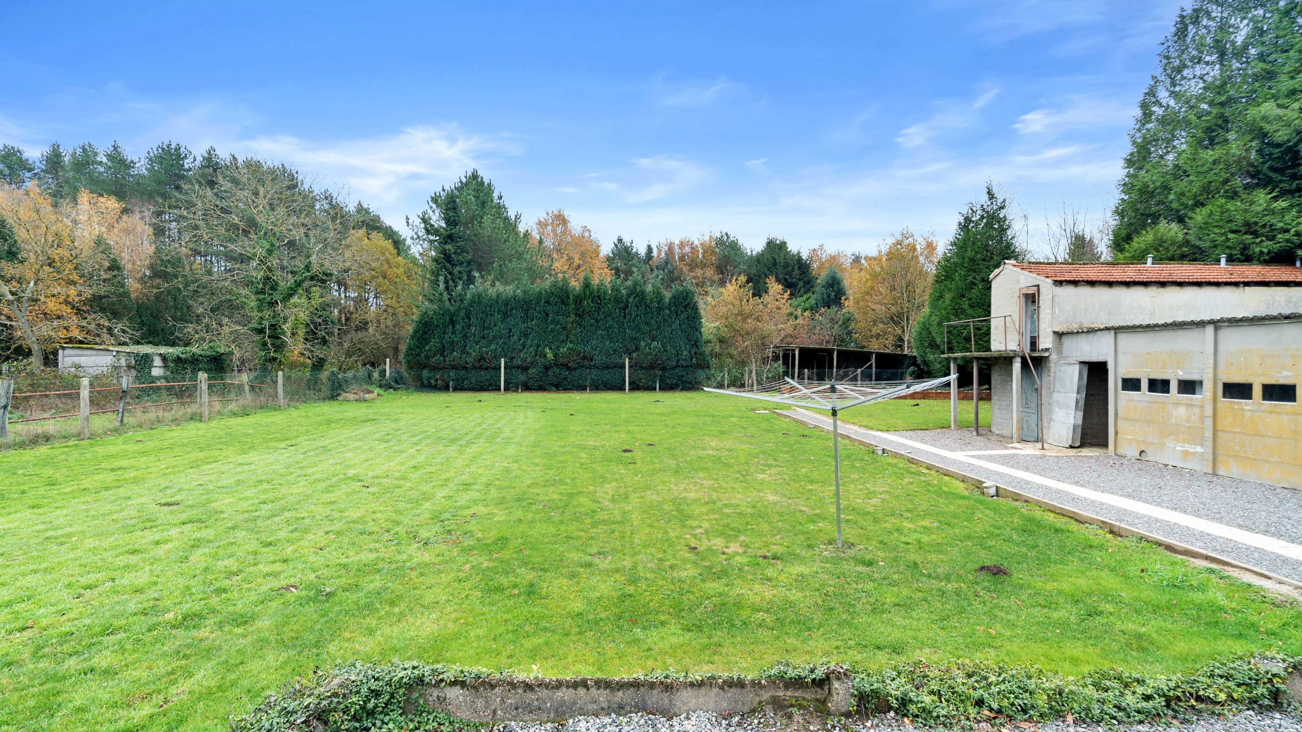 Landelijk gelegen woning op 50 are grond. foto 16