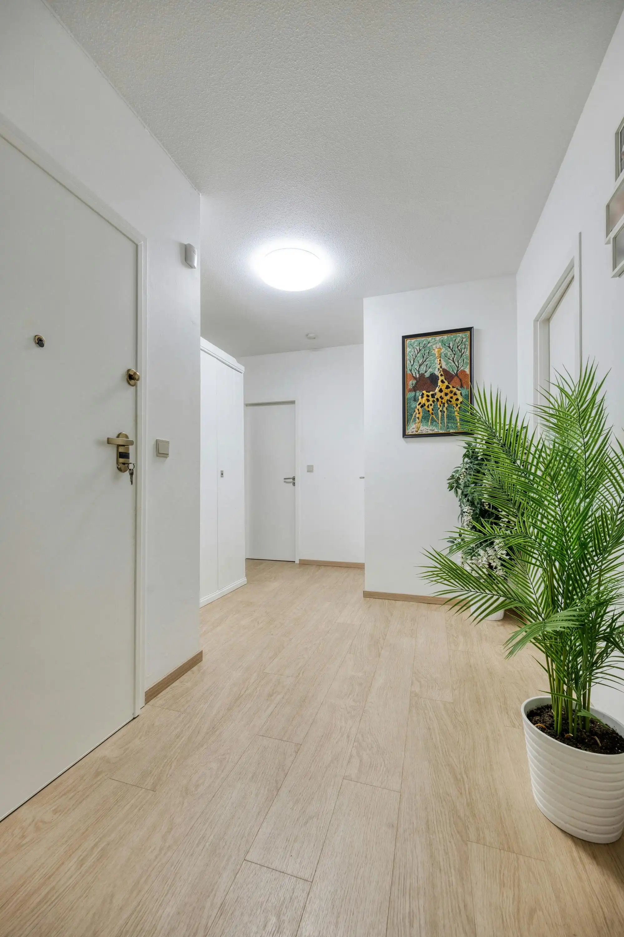 3-slaapkamerappartement met terras en parking in Laken foto 7