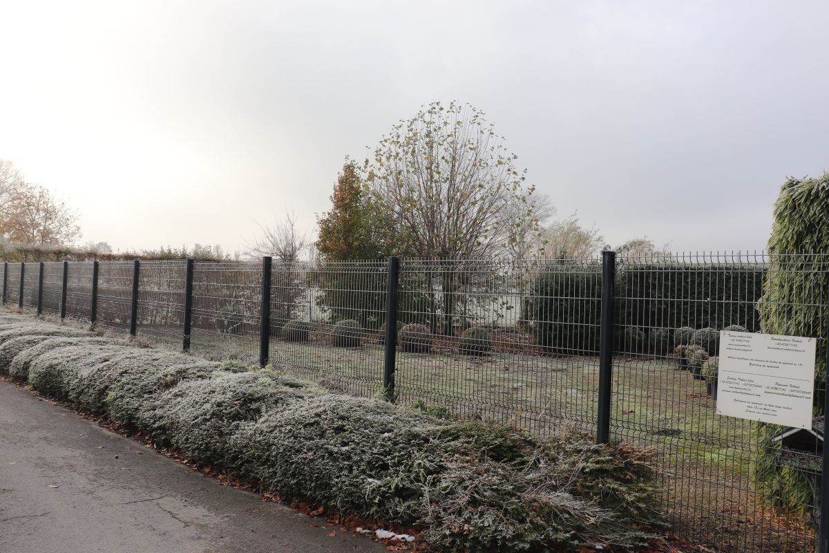 Plantenkwekerij te koop te Zwevegem foto 2