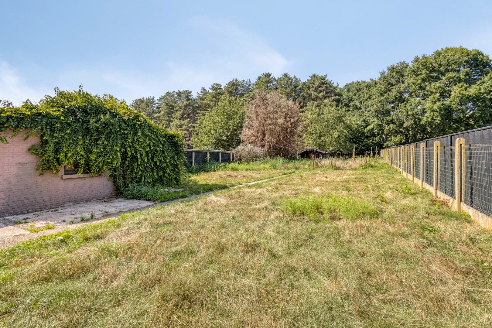 Te renoveren woning, rustig en landelijk gelegen op 1.265 m² nabij het centrum ! foto 2