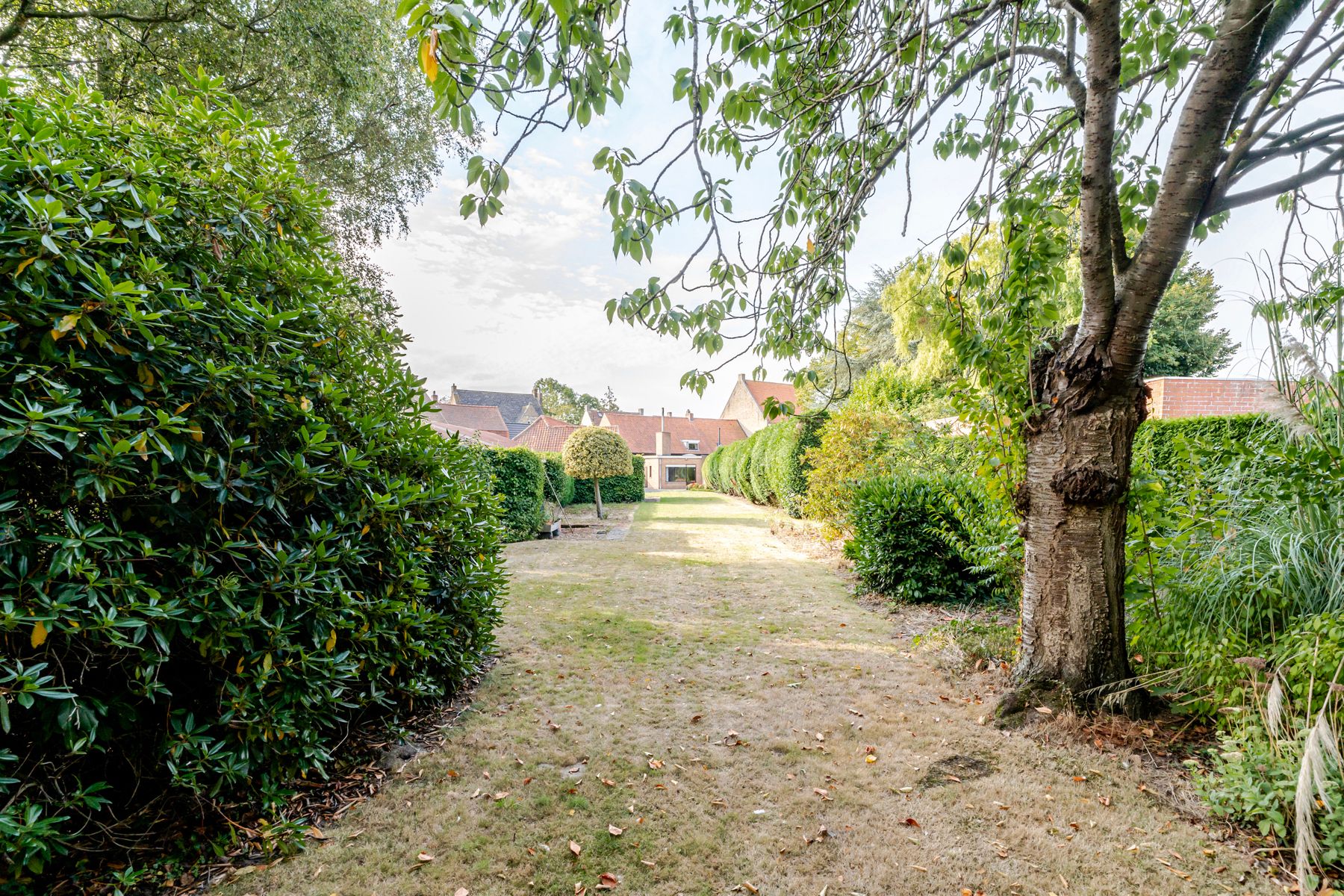 Ruime woning met meerdere bijgebouwen foto 27