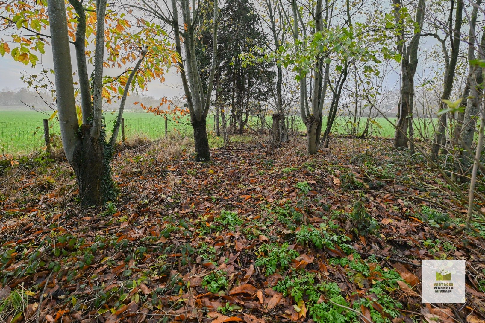 Open bebouwing met een landelijk uitzicht op 2.689m2 foto 21
