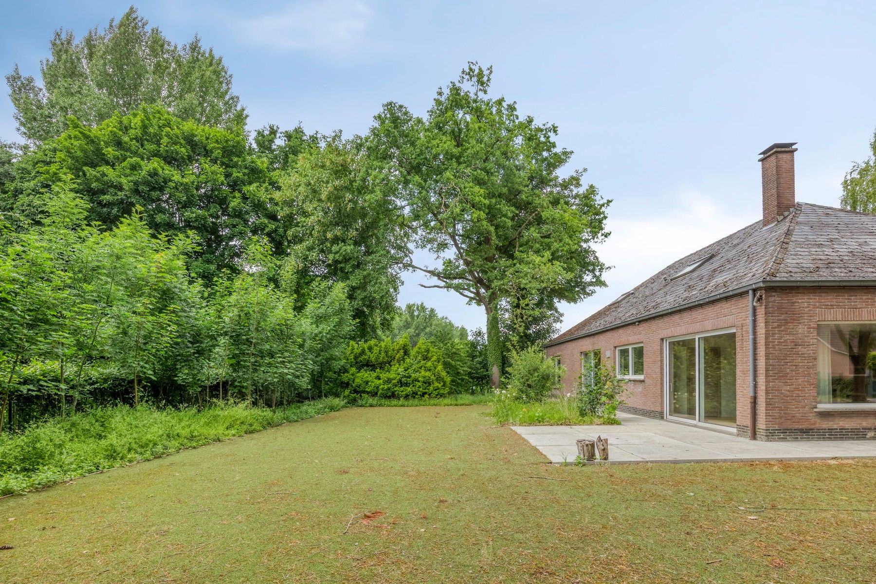 Hoofdfoto van de publicatie: Ruime bungalow op groot perceel