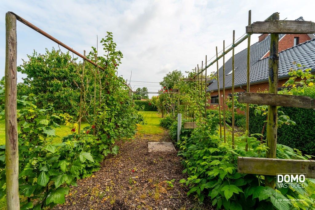 UNIEKE WONING MET 2 RUIME LOODSEN OP PERCEEL VAN 58A49CA foto 38