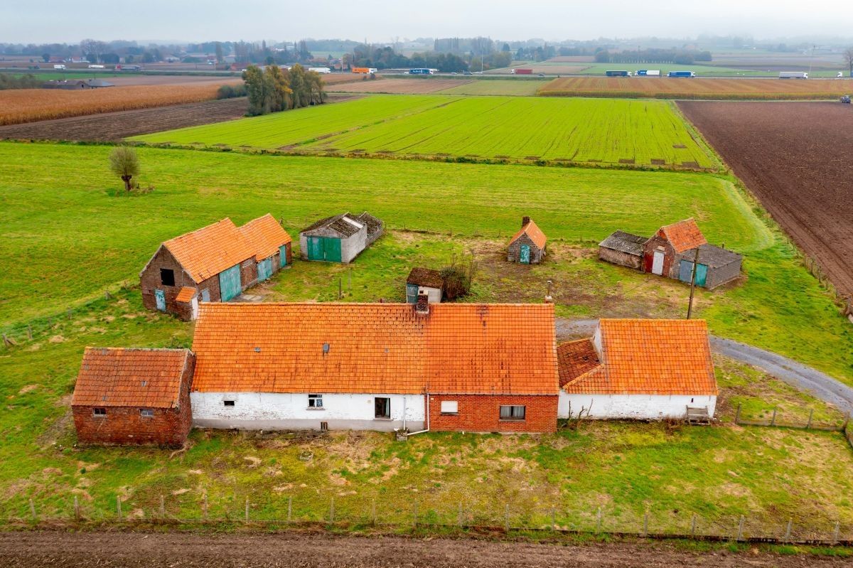 Hoevetje op 2 ha 67 are te koop te Kruisem foto 6