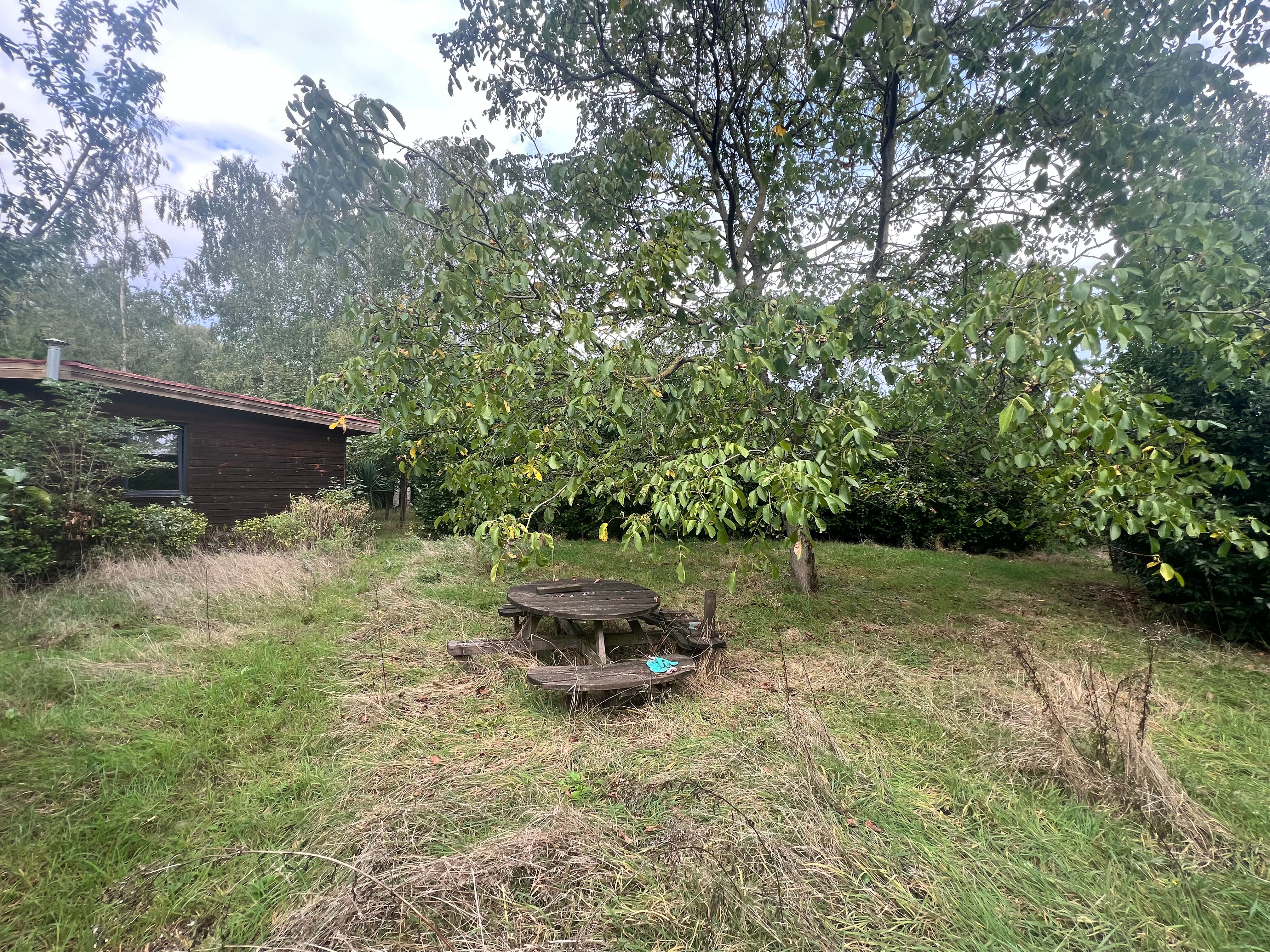 Gezellige chalet met vijver op een perceel van 1.965 m². foto 17