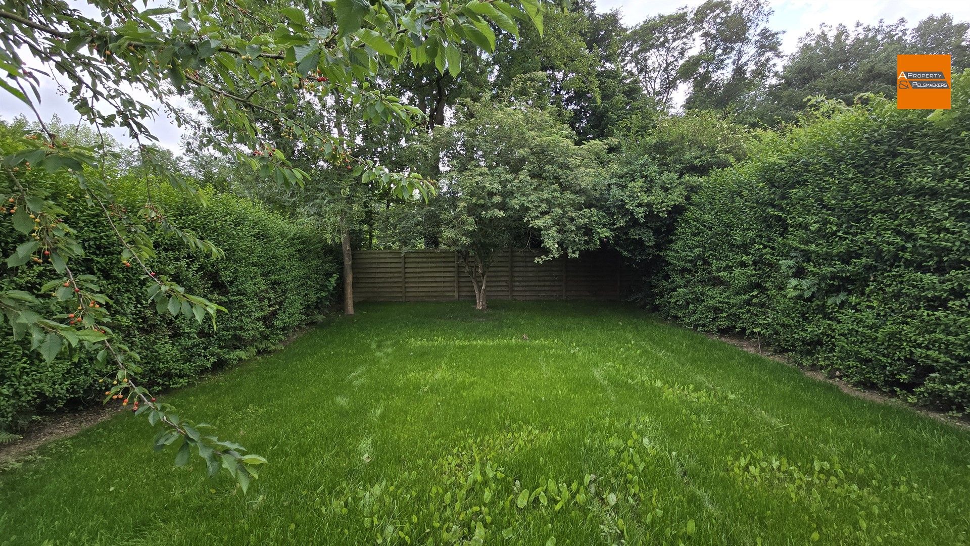 Volledig gerenoveerde woning met 4 slaapkamers en zonnige tuin in rustige wijk foto 23