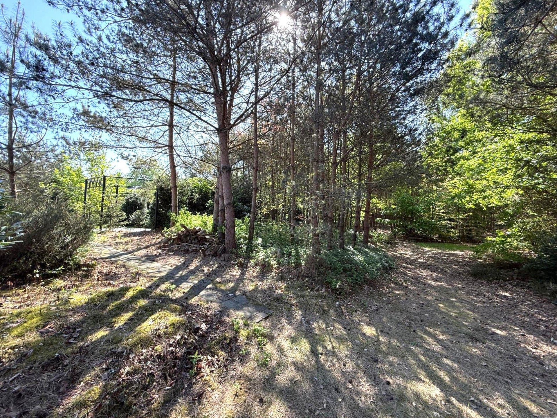 Ruime woning met veel grond foto 21