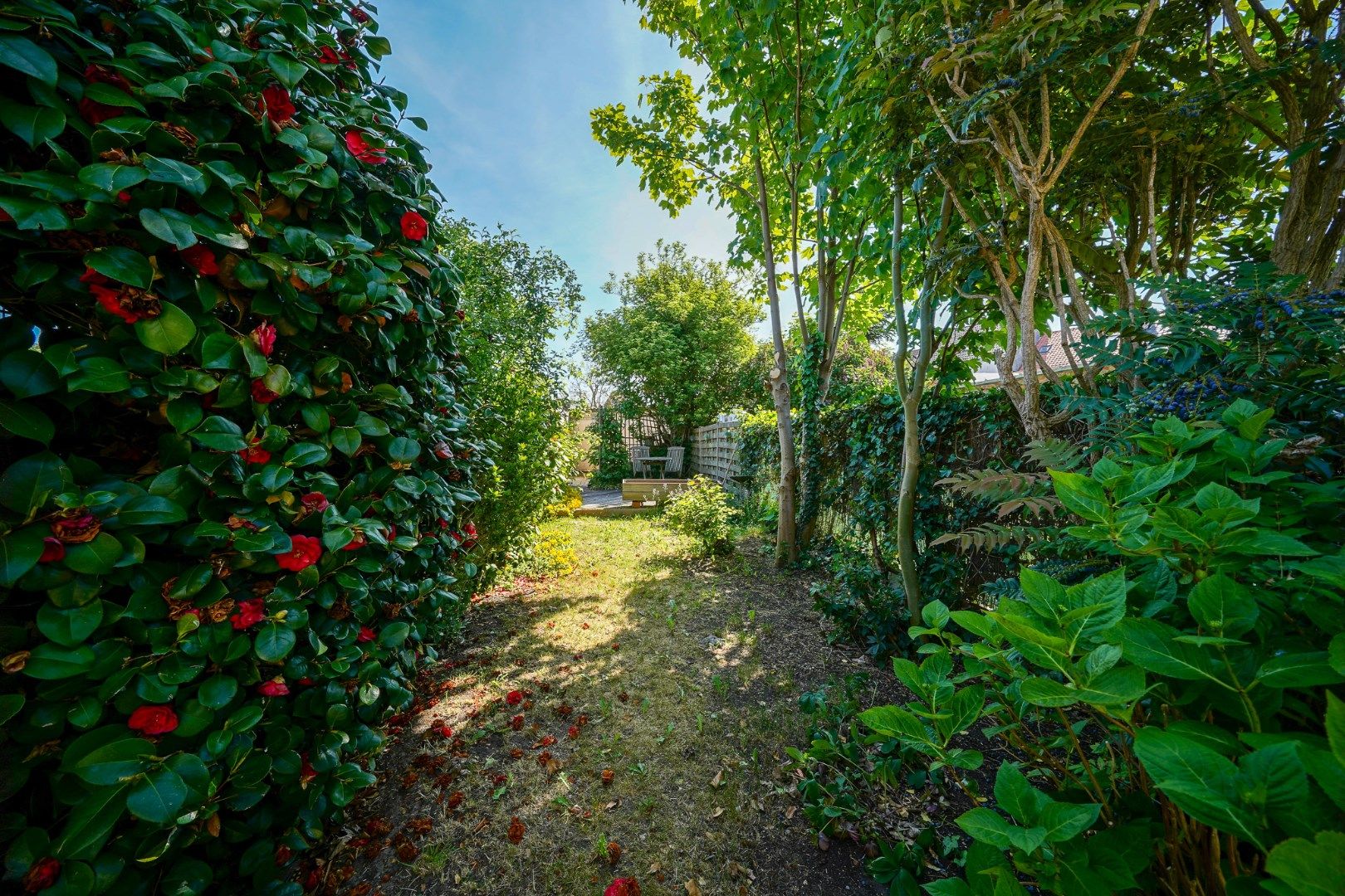 Te renoveren woning met tuin en garage aan de Spuikom te Bredene foto 2
