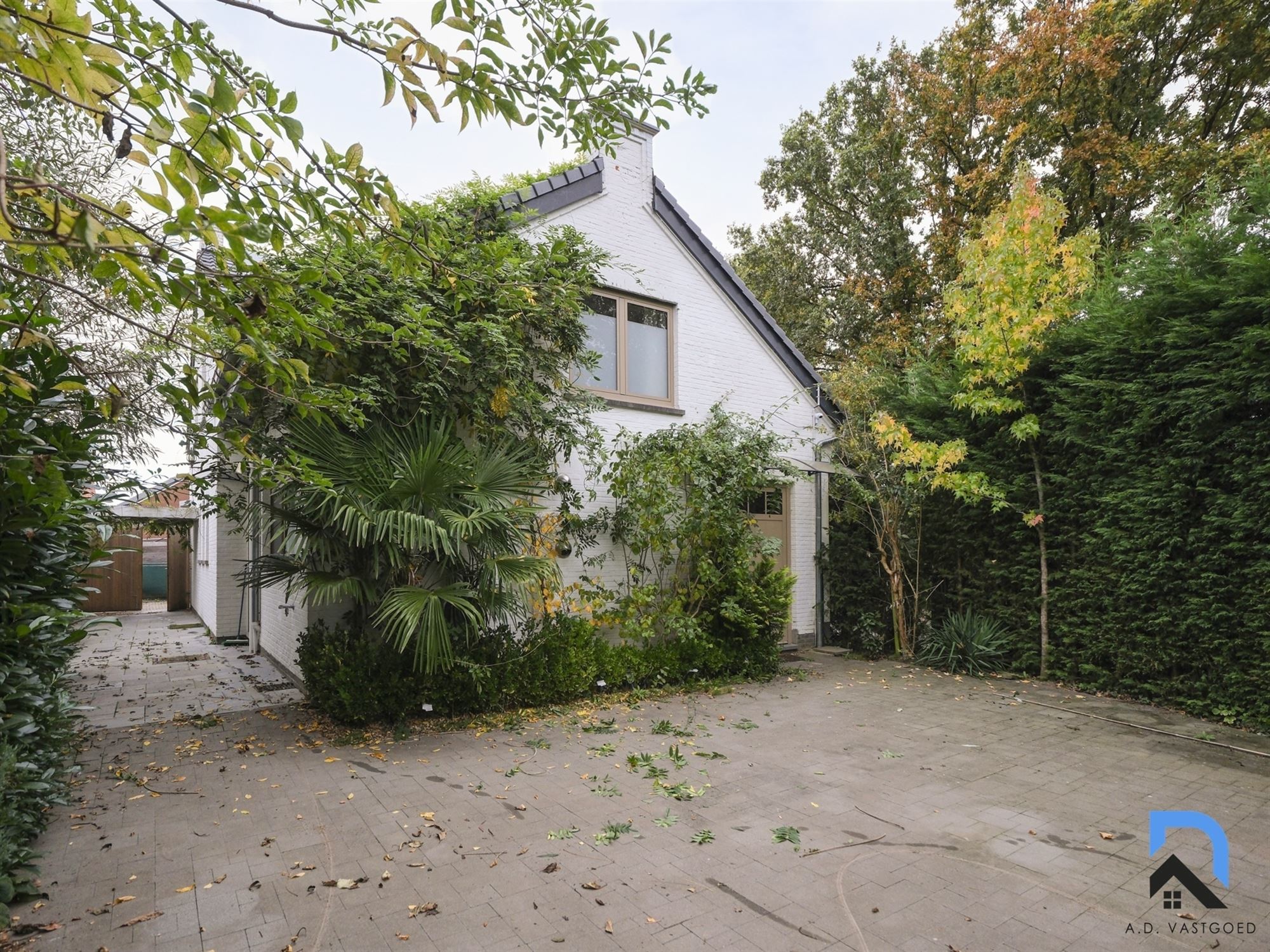 Ruime vrijstaande woning in Eigenbilzen foto {{pictureIndex}}