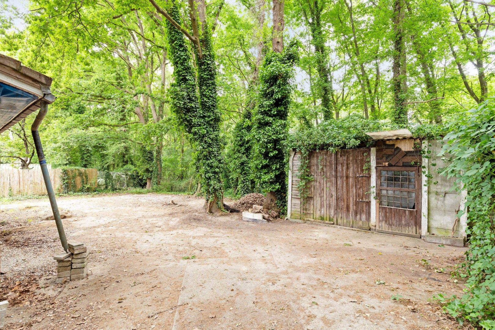 Rustige gelegen woning met veel mogelijkheden in Rotselaar   foto 16