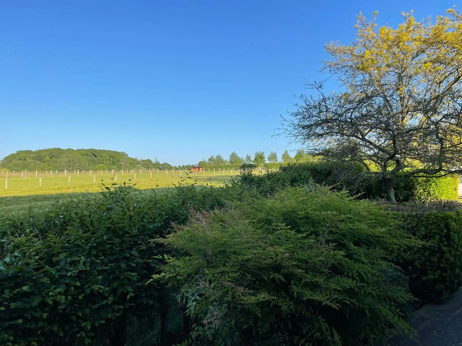 Ruime villa te huur op rustige locatie foto 30