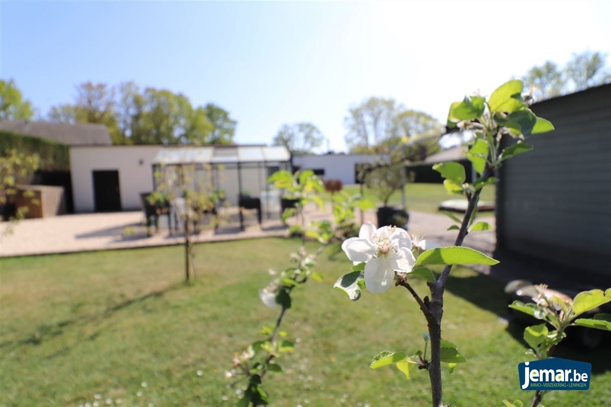 Villa met 3 slaapkamers in Dilsen-Stokkem!  foto 29