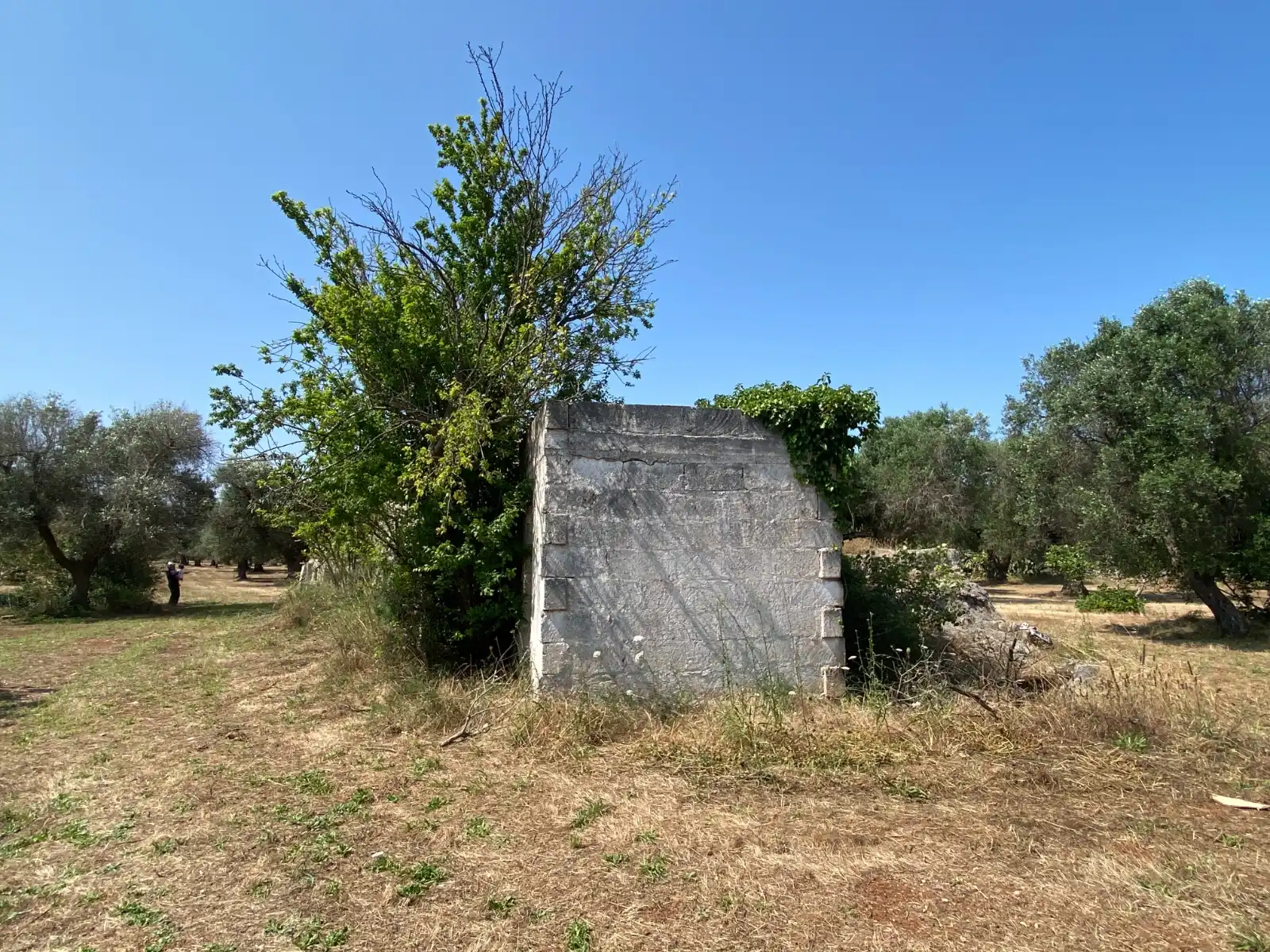 Twee fascinerende trulligroepen te koop in Puglia, Italia: An Italian Home away from Home foto 14