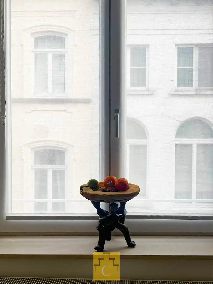 knap dakappartement in 19e eeuws herenhuis met zonnig terras en adembenemende uitzichten foto 10