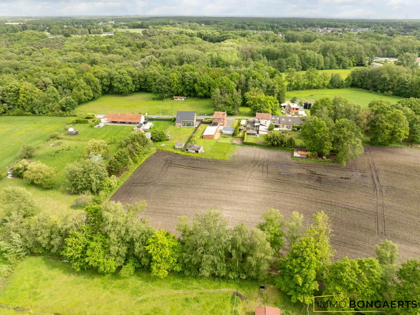 Rustig gelegen woning op uitzonderlijk perceel van 7.700 m² foto 26