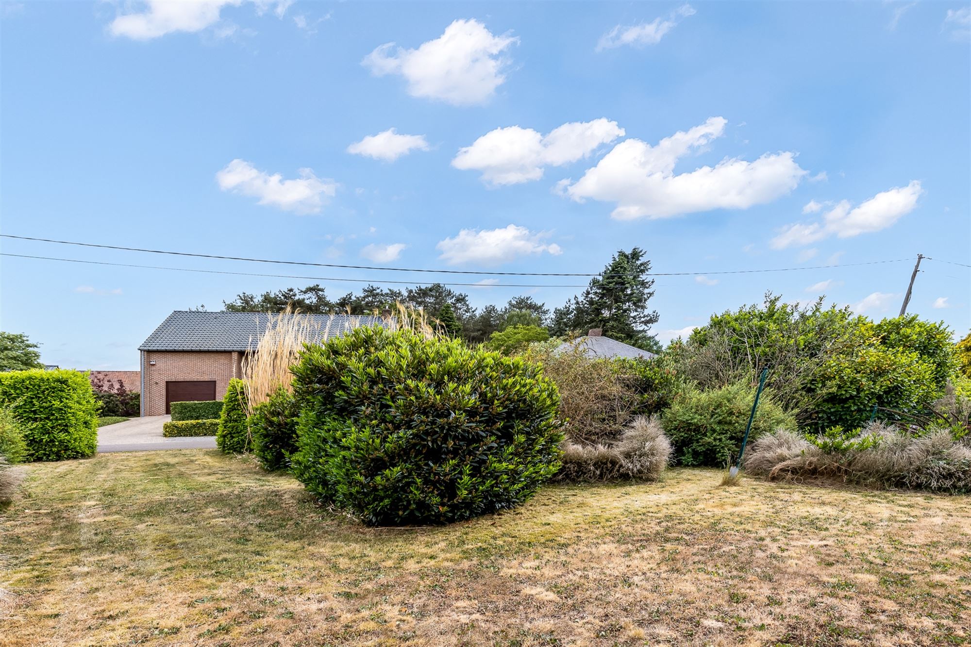 WONING MET POTENTIEEL EN GROTE TUIN OP EEN PERCEEL VAN 12A14CA TE TESSENDERLO foto 23