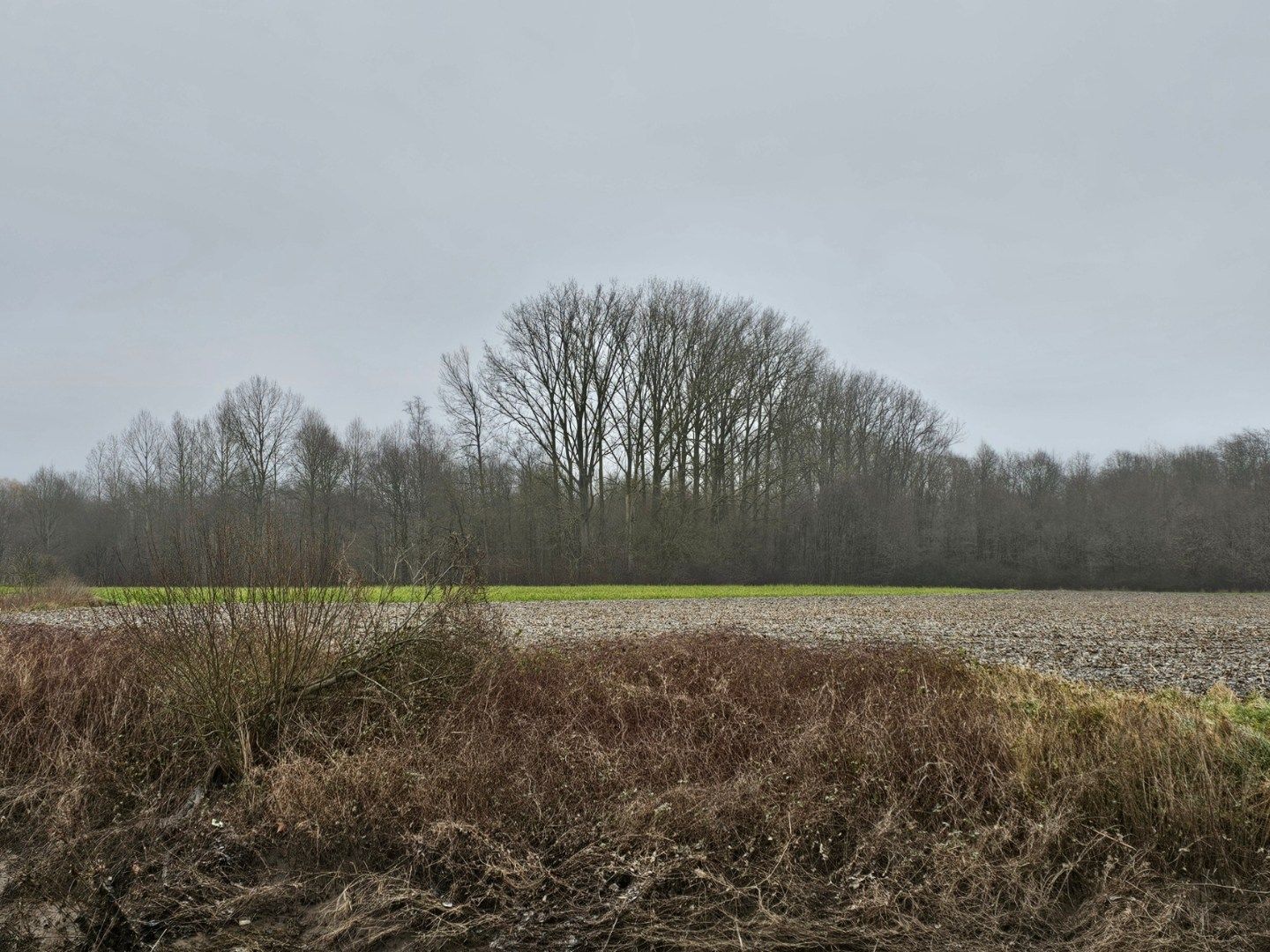 Percelen bos te Rotselaar. foto 2