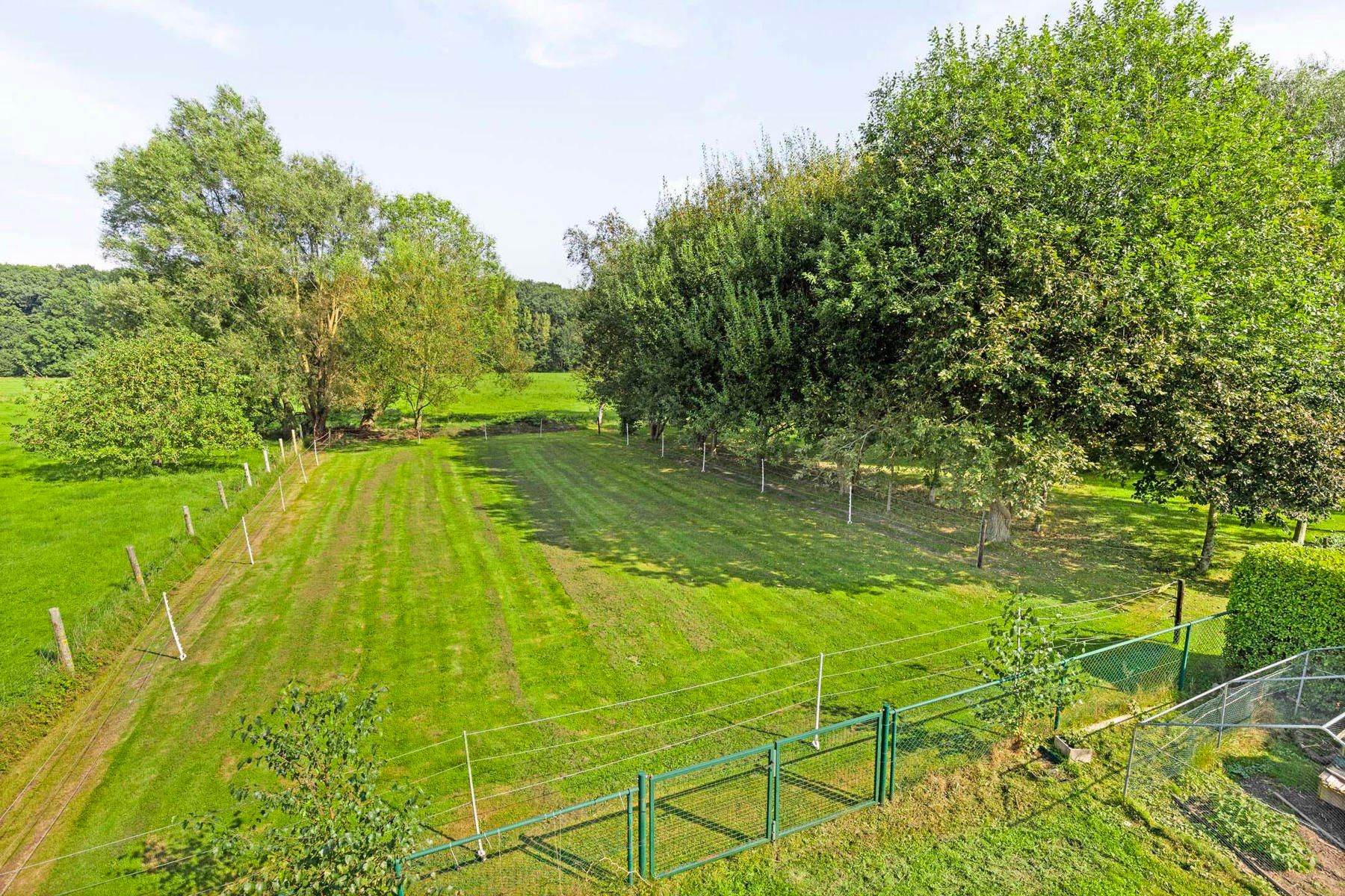 Instapklare villa met 5 kamers, 2 badkamers en grote tuin! foto 27