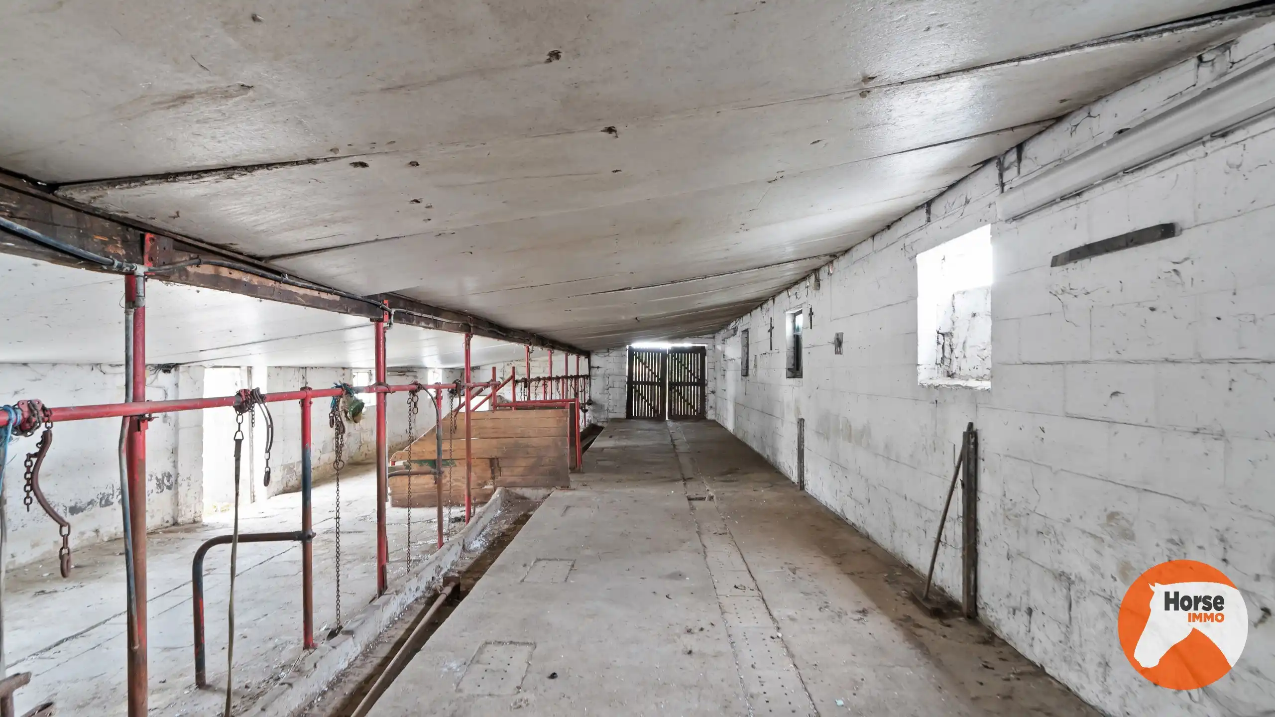 RIEMST - Te renoveren woning met stalling foto 23