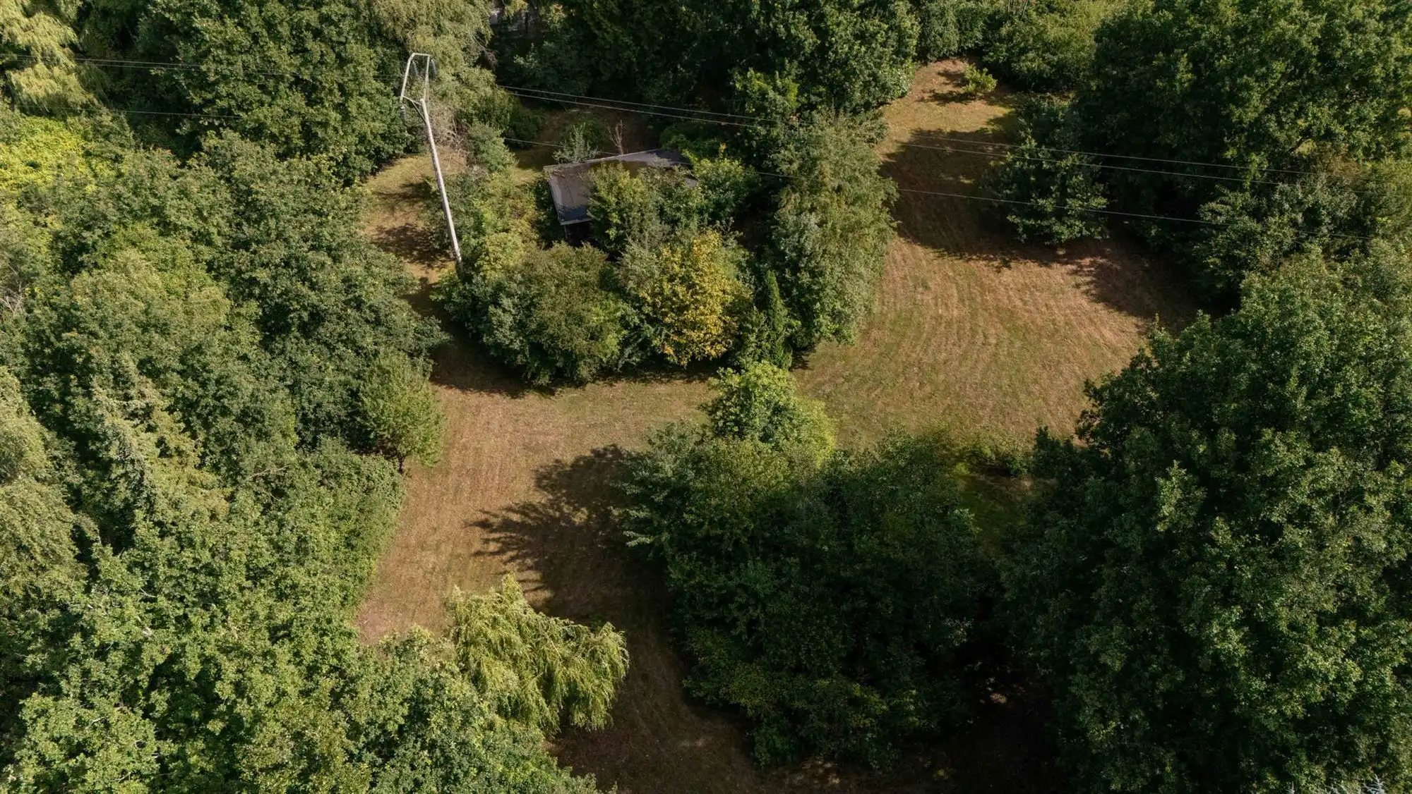 Unieke hoeve op domein van 1,5 ha – pure rust en natuurbeleving in het groen foto 29
