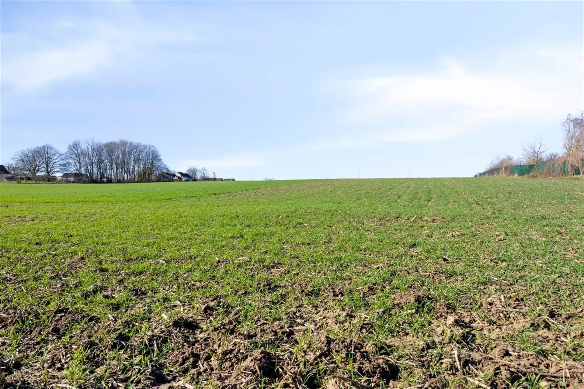 Energiezuinige woning met veel licht en ruimte foto 34