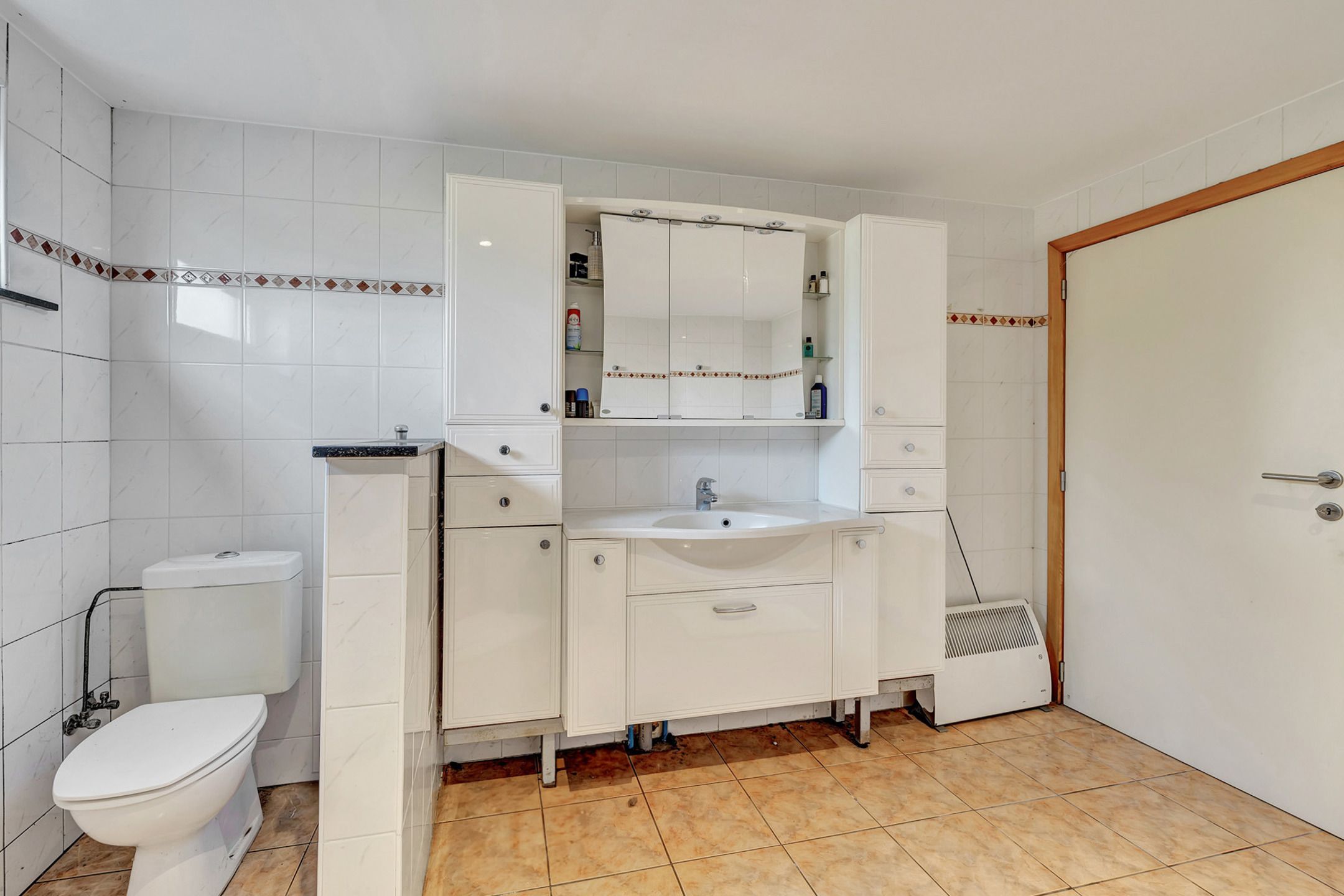 Ruime loods met woonentiteit  foto 11