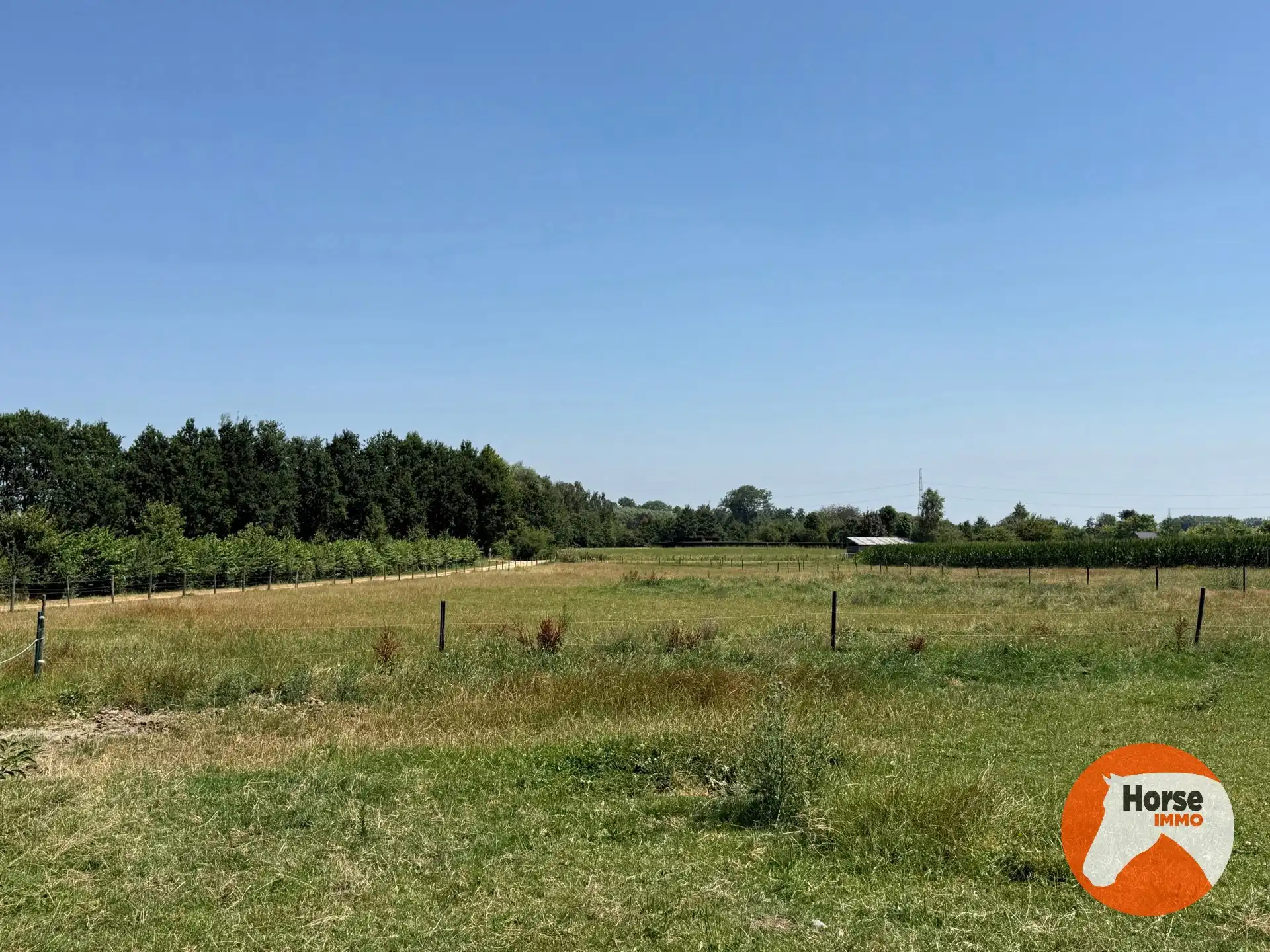 ASSE - Paardenaccommodatie op 1,07ha met 3 vergunde stallen foto 9